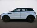Land Rover Range Rover Evoque 2.2 Dynamic Blanc - thumbnail 3