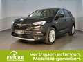 Opel Grandland X Plug-in-Hybrid Innovation +Abn-Anhängerkuppl. Noir - thumbnail 1