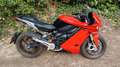 Zero Zero SR/S 2025 Rojo - thumbnail 6