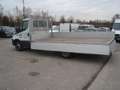 Iveco Daily 2.3 Jtd 35-310 con Cassone Fisso Blanc - thumbnail 4