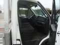 Iveco Daily 2.3 Jtd 35-310 con Cassone Fisso Blanc - thumbnail 7