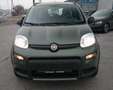 Fiat Panda TwinAir 85 4x4 Wild Limousine Grün - thumbnail 2