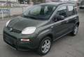 Fiat Panda TwinAir 85 4x4 Wild Limousine Grün - thumbnail 3