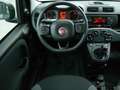Fiat Panda TwinAir 85 4x4 Wild Limousine Grün - thumbnail 12