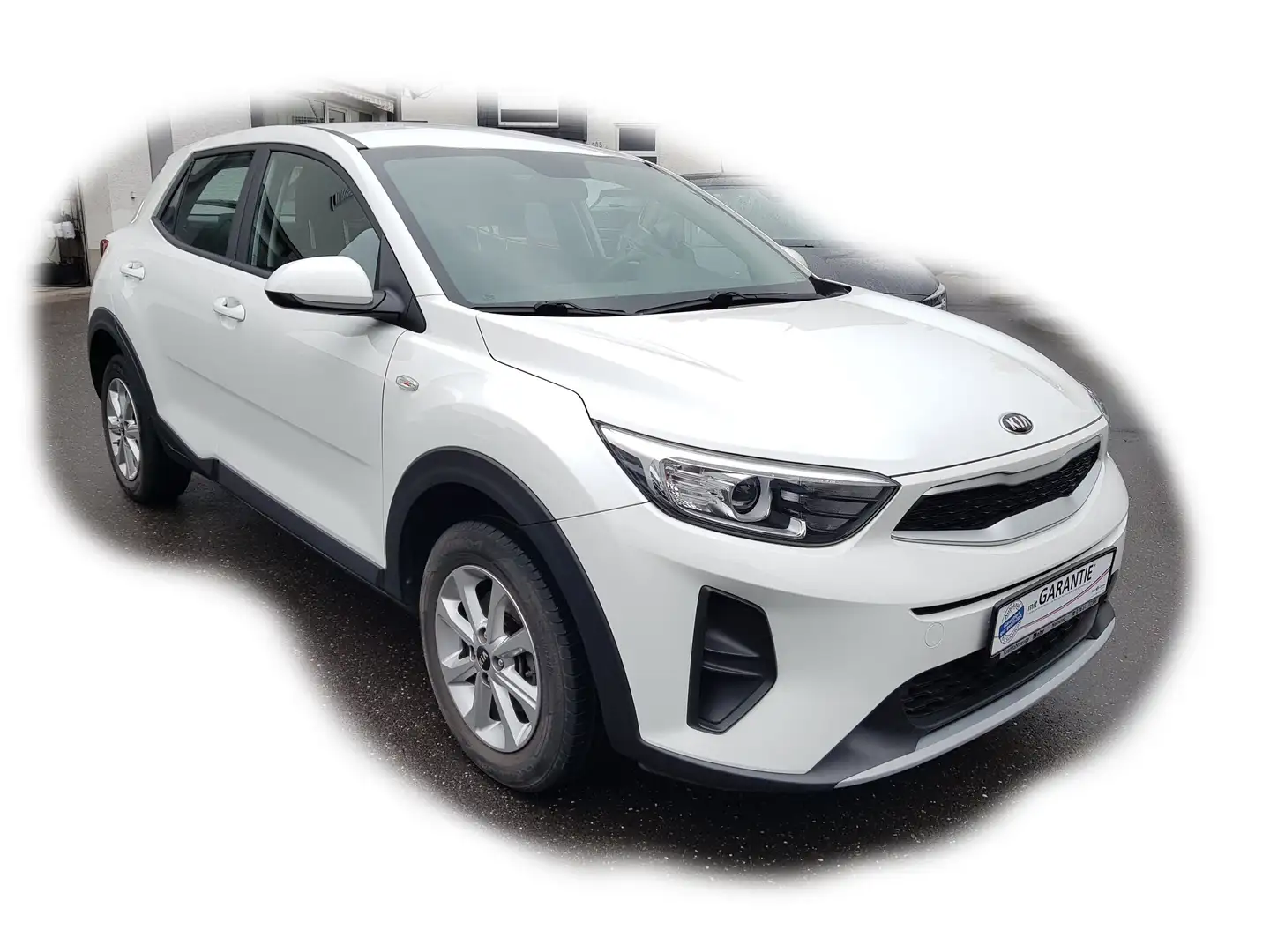 Kia Stonic Edition 7 APPLink Klima LM-Felgen Bluetooth Weiß - 1