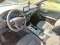 Ford Kuga 2.5 Plug In Hybrid ST-Line 2wd 225cv Blu/Azzurro - thumbnail 15