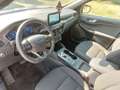 Ford Kuga 2.5 Plug In Hybrid ST-Line 2wd 225cv Blu/Azzurro - thumbnail 13