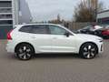 Volvo XC60 Plus Dark T8 AWD Plug-in Hybrid PANO/FOUR-C Weiß - thumbnail 7
