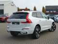 Volvo XC60 Plus Dark T8 AWD Plug-in Hybrid PANO/FOUR-C Weiß - thumbnail 2