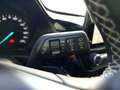 Ford Fiesta Fiesta VII 2022 5p 5p 1.1 Titanium Gpl 75cv Blauw - thumbnail 11