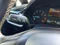 Ford Fiesta Fiesta VII 2022 5p 5p 1.1 Titanium Gpl 75cv Blauw - thumbnail 9