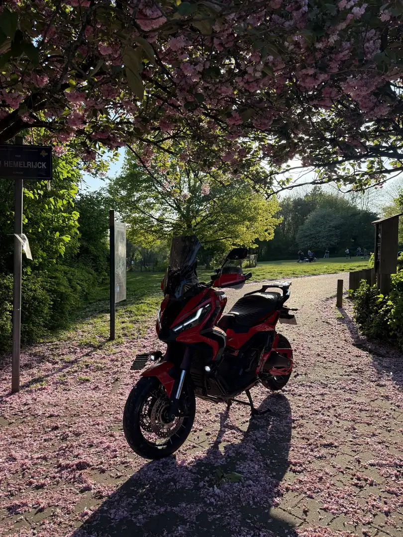 Honda X-ADV - 2