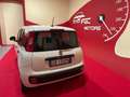 Fiat Panda Panda 1.2 Easy Gpl 69cv My2019 *OK NEOPATENTATI* Bianco - thumbnail 7
