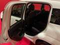 Fiat Panda Panda 1.2 Easy Gpl 69cv My2019 *OK NEOPATENTATI* Bianco - thumbnail 10
