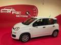 Fiat Panda Panda 1.2 Easy Gpl 69cv My2019 *OK NEOPATENTATI* Bianco - thumbnail 3