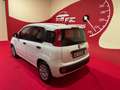 Fiat Panda Panda 1.2 Easy Gpl 69cv My2019 *OK NEOPATENTATI* Bianco - thumbnail 5