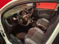 Fiat Panda Panda 1.2 Easy Gpl 69cv My2019 *OK NEOPATENTATI* Bianco - thumbnail 13