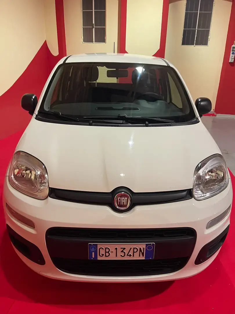 Fiat Panda Panda 1.2 Easy Gpl 69cv My2019 *OK NEOPATENTATI* Bianco - 2