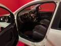 Fiat Panda Panda 1.2 Easy Gpl 69cv My2019 *OK NEOPATENTATI* Bianco - thumbnail 9