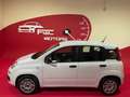 Fiat Panda Panda 1.2 Easy Gpl 69cv My2019 *OK NEOPATENTATI* Bianco - thumbnail 4