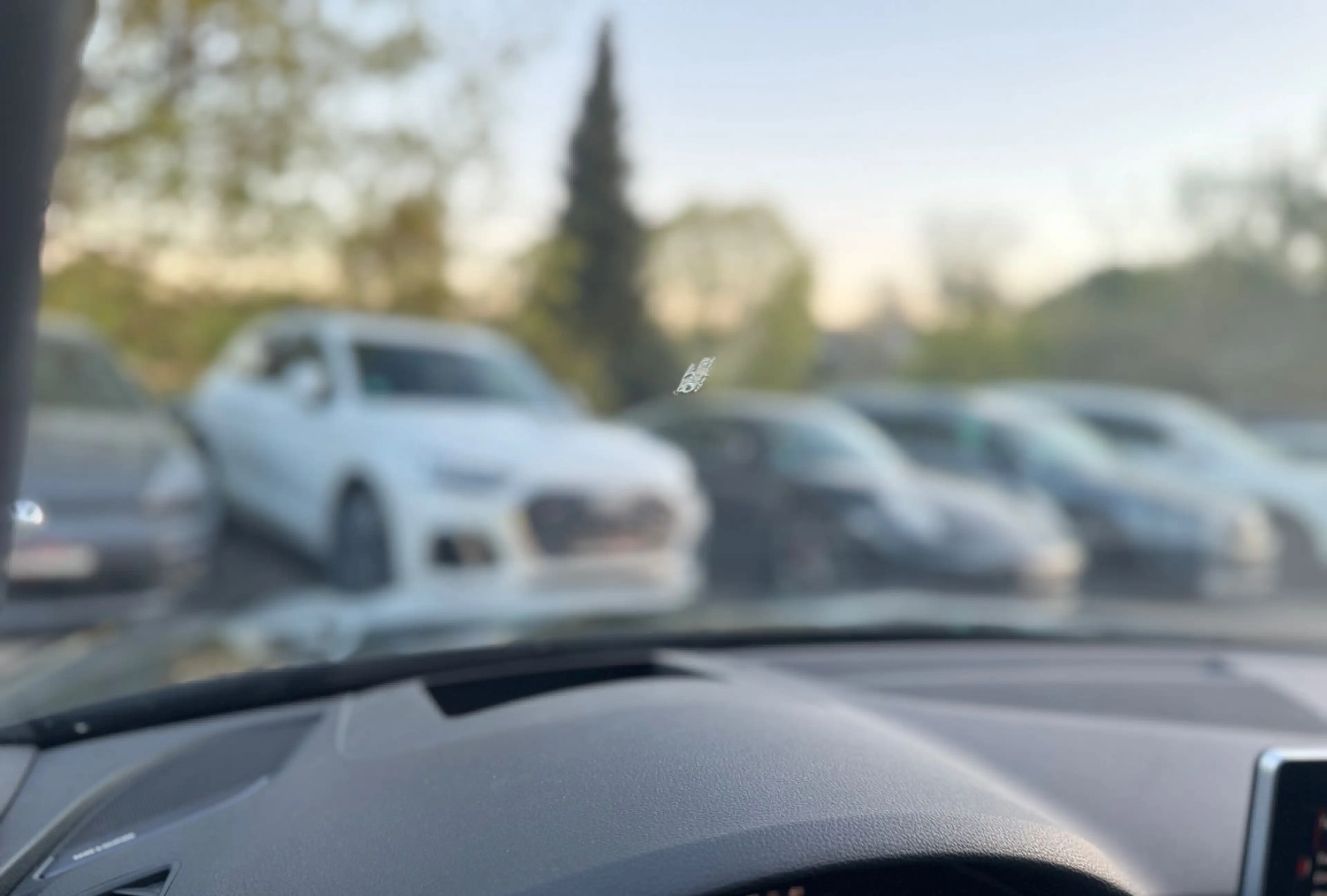 Audi A4 Avant quattro TDi S-line,Pano,Virtual,B&O,HuD — photo 15