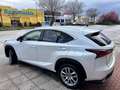Lexus NX 300 300h Executive Navigation 4WD Weiß - thumbnail 4
