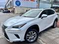 Lexus NX 300 300h Executive Navigation 4WD Weiß - thumbnail 1