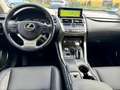 Lexus NX 300 300h Executive Navigation 4WD Weiß - thumbnail 9