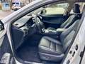 Lexus NX 300 300h Executive Navigation 4WD Weiß - thumbnail 10
