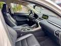 Lexus NX 300 300h Executive Navigation 4WD Weiß - thumbnail 13
