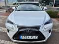 Lexus NX 300 300h Executive Navigation 4WD Weiß - thumbnail 5