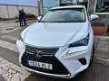 Lexus NX 300 300h Executive Navigation 4WD Weiß - thumbnail 3