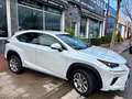 Lexus NX 300 300h Executive Navigation 4WD Weiß - thumbnail 7