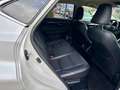 Lexus NX 300 300h Executive Navigation 4WD Weiß - thumbnail 12