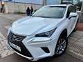 Lexus NX 300 300h Executive Navigation 4WD Weiß - thumbnail 2