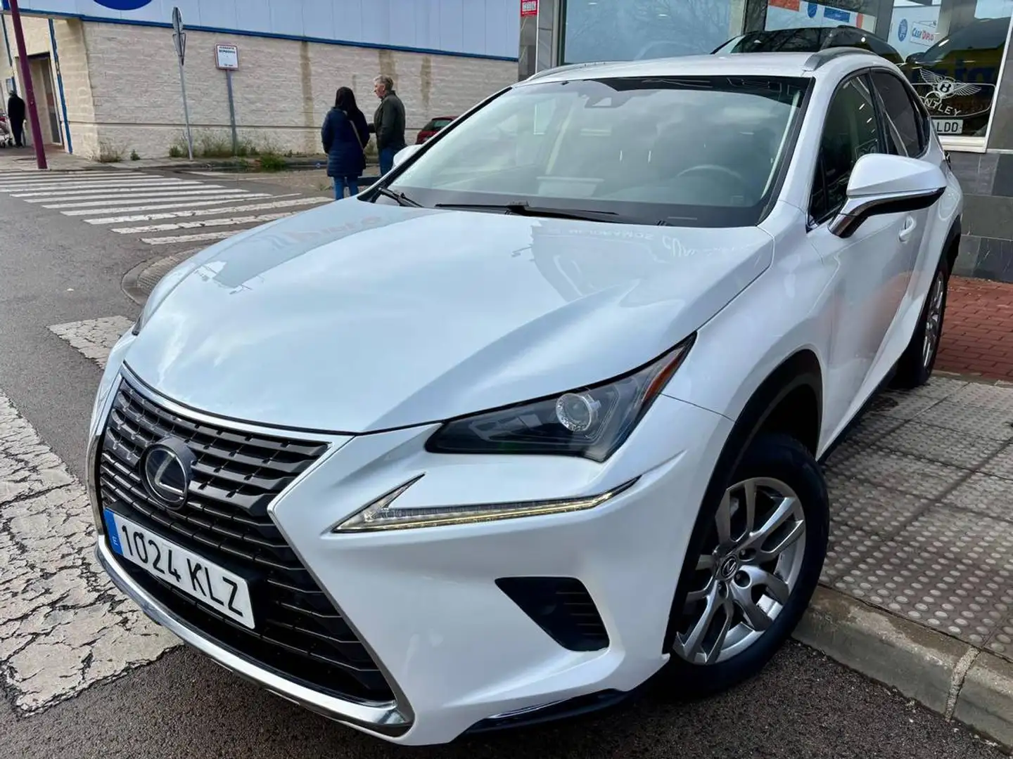 Lexus NX 300 300h Executive Navigation 4WD Weiß - 2