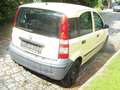 Fiat Panda 1.1 8V Active Beige - thumbnail 4