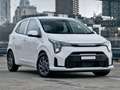 Kia Picanto 1.0 12V 5p Urban NEW MODEL  - Su ordinazione Wit - thumbnail 1