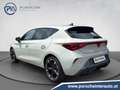 CUPRA Leon 1.5 TSI 150 PS ACT Gris - thumbnail 4