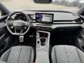 CUPRA Terramar 1.5 eTSI DSG Pano AHK Sennheiser 20'' HUD Weiß - thumbnail 8