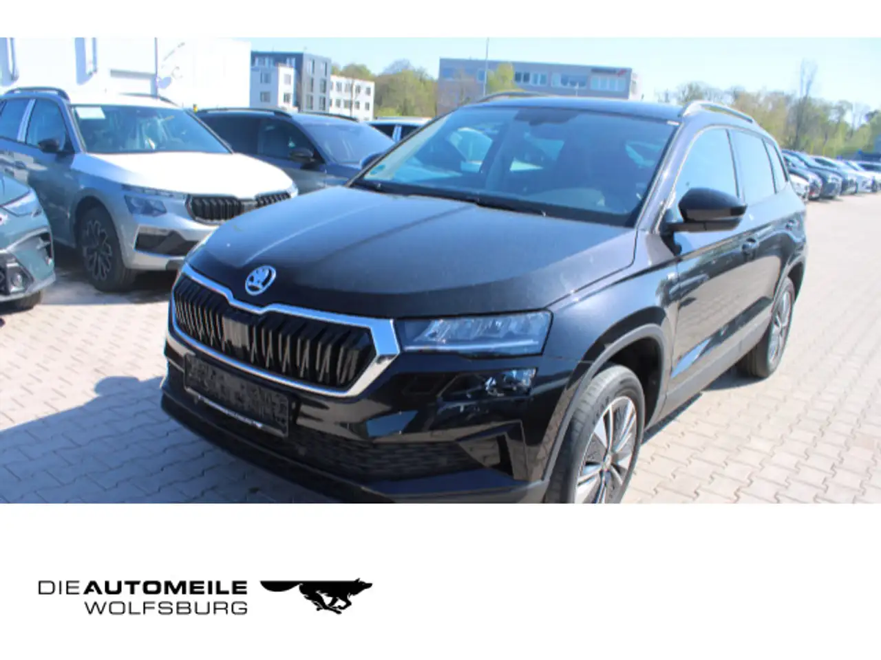 Skoda Karoq 2.0 TDI Tour Pano/Tempo/Einparkhi