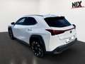 Lexus UX 250h 2.0 Hybrid Style Edition Velours Weiß - thumbnail 2