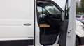 Volkswagen Crafter Frigo Stock ID 10016 Blanc - thumbnail 15