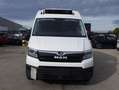 Volkswagen Crafter Frigo Stock ID 10016 Blanc - thumbnail 2