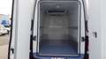 Volkswagen Crafter Frigo Stock ID 10016 Blanc - thumbnail 9