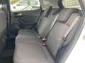 Ford Fiesta 1.0 EcoBoost 125 mhev titanium Blanc - thumbnail 7