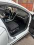 Ford Mondeo Business Bianco - thumbnail 6