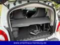 smart forTwo EQ ED BRABUS TAILOR MADE ushuaia EDITION Weiß - thumbnail 20