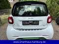 smart forTwo EQ ED BRABUS TAILOR MADE ushuaia EDITION Weiß - thumbnail 3