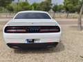 Dodge Challenger SXT AWD Blanco - thumbnail 8